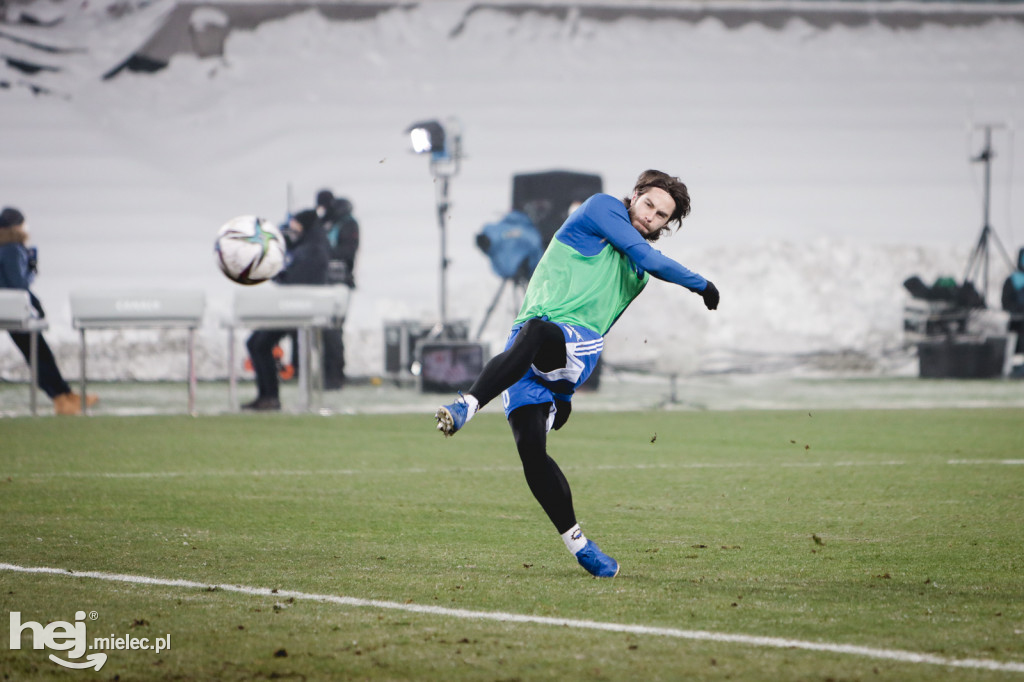 Górnik Zabrze - PGE FKS Stal Mielec