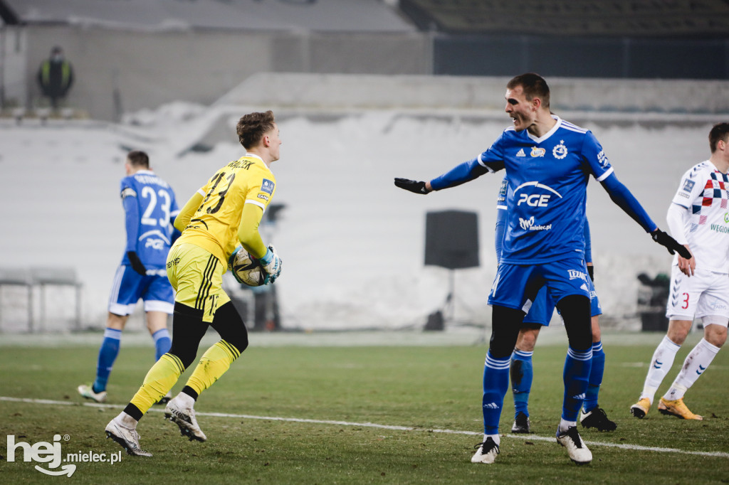 Górnik Zabrze - PGE FKS Stal Mielec