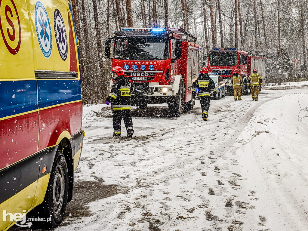 Czołówka na łuku drogi