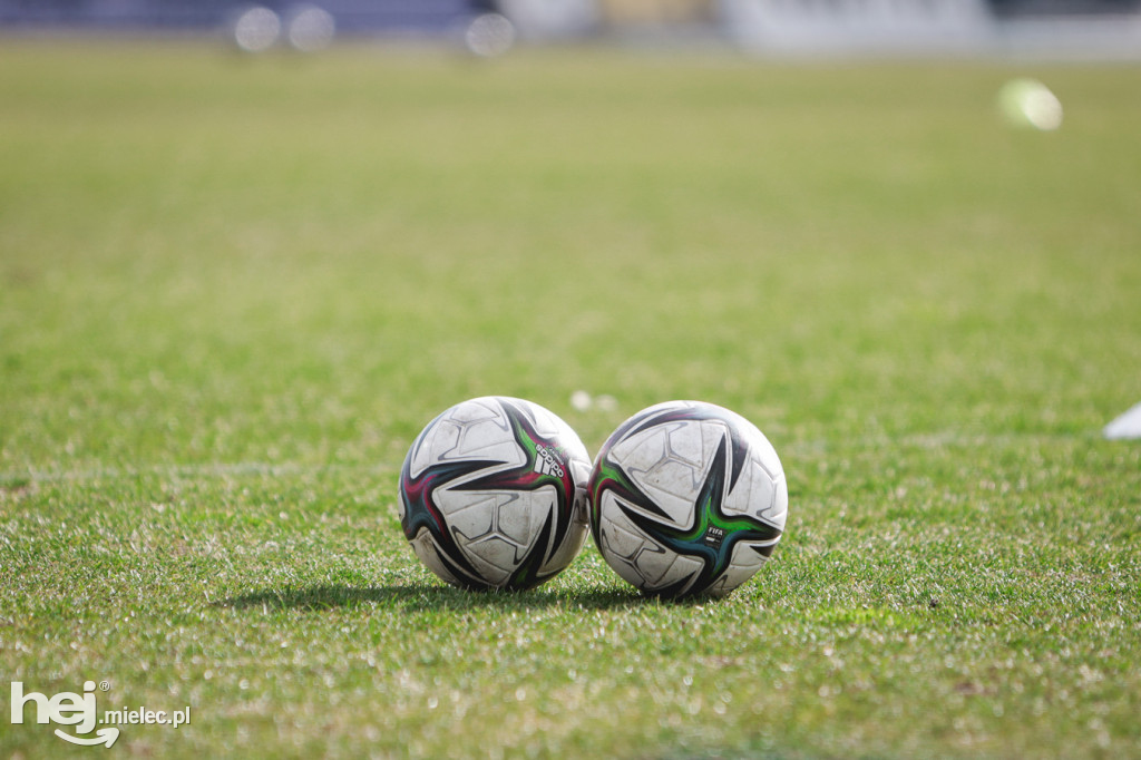 PGE FKS Stal Mielec - Lechia Gdańsk