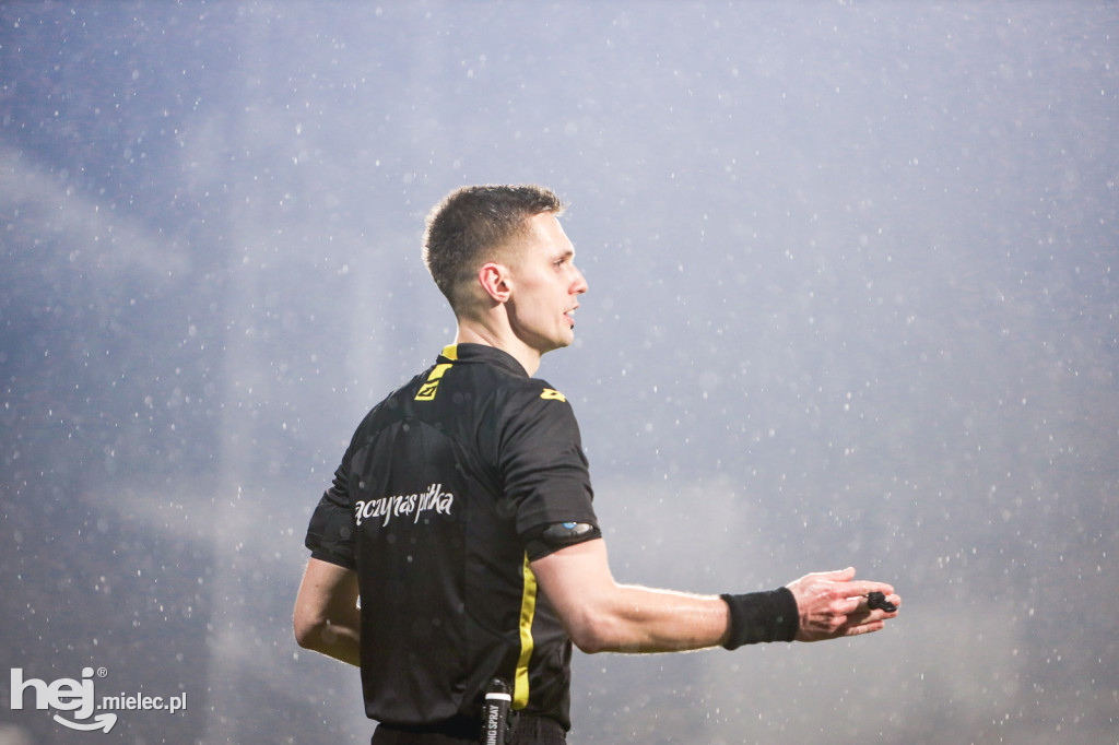 PGE FKS Stal Mielec - Wisła Płock