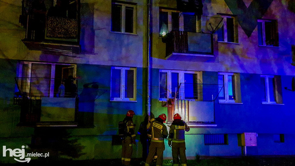 Nocna interwencja strażaków w centrum. Niecodzienne wezwanie
