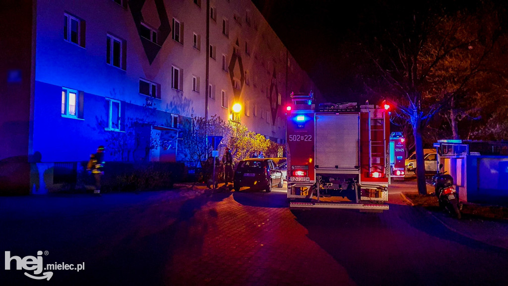 Nocna interwencja strażaków w centrum. Niecodzienne wezwanie