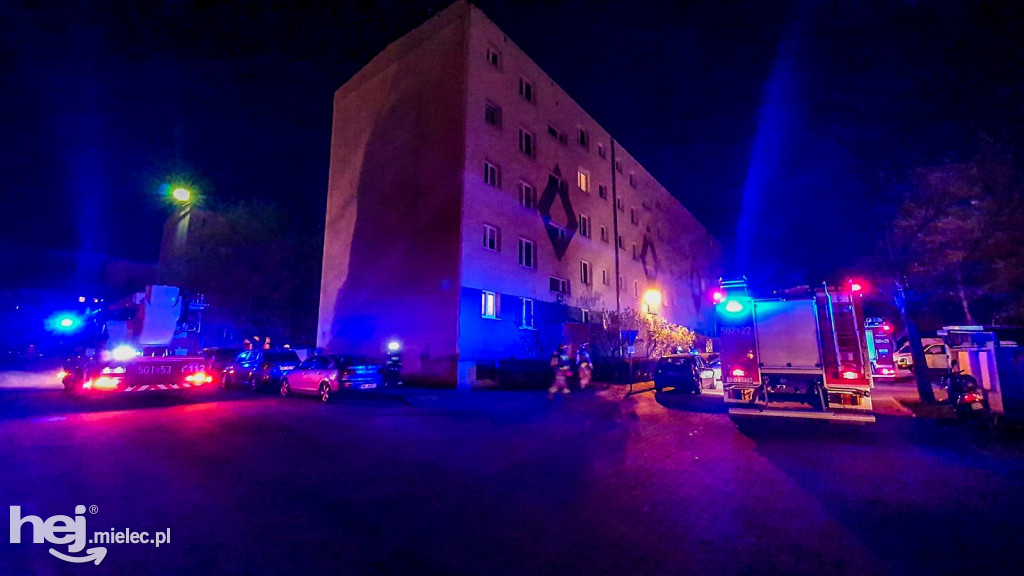 Nocna interwencja strażaków w centrum. Niecodzienne wezwanie
