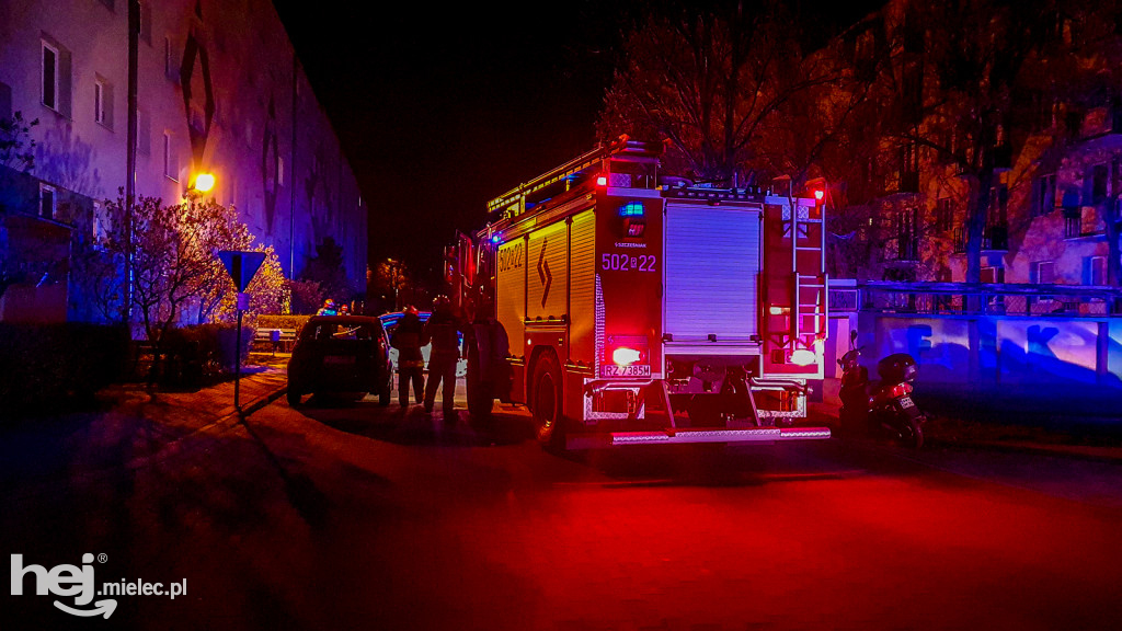 Nocna interwencja strażaków w centrum. Niecodzienne wezwanie