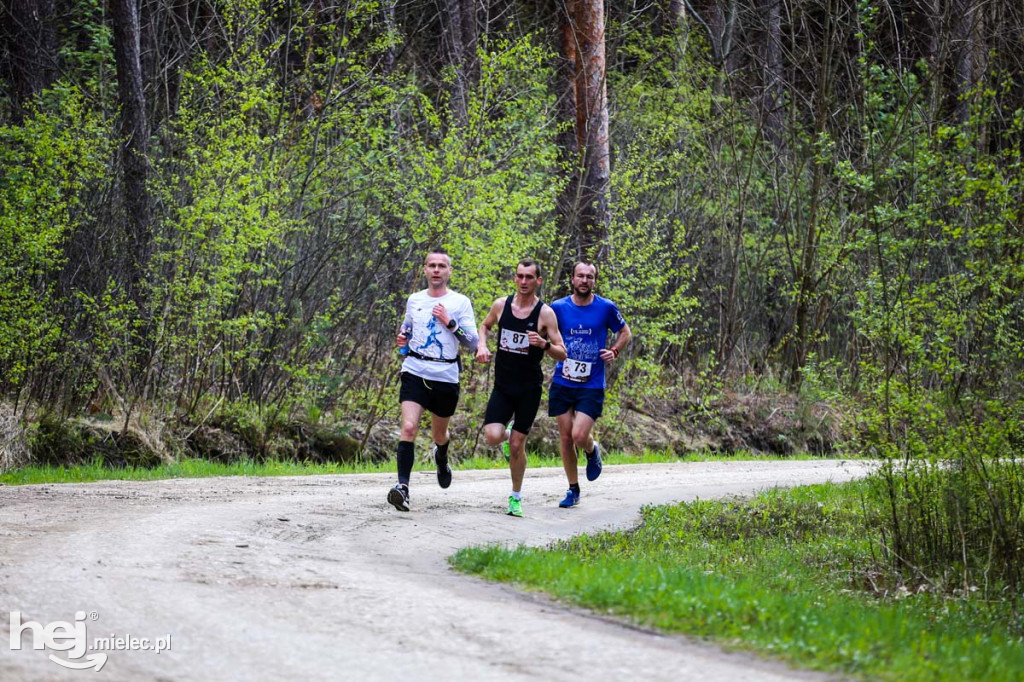 2. Bieg Konstytucji 3 Maja w Rydzowie