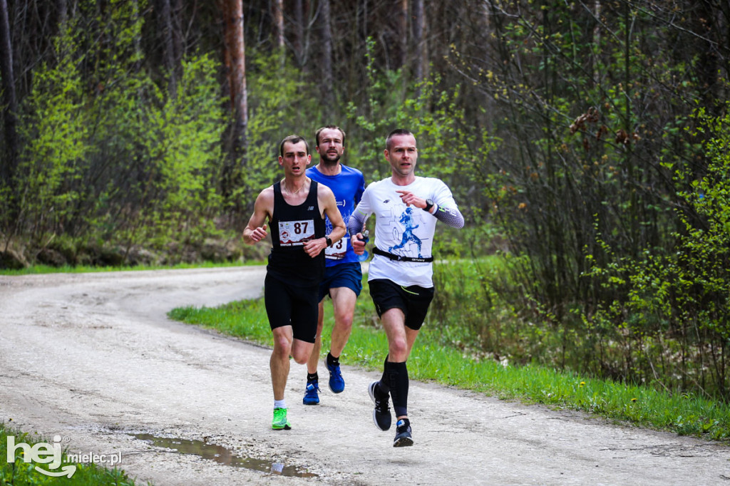 2. Bieg Konstytucji 3 Maja w Rydzowie