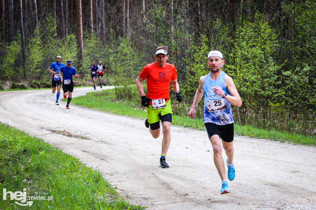 2. Bieg Konstytucji 3 Maja w Rydzowie
