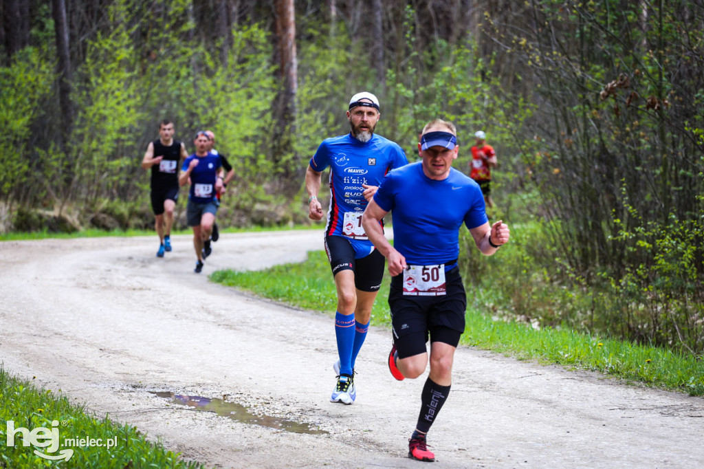 2. Bieg Konstytucji 3 Maja w Rydzowie
