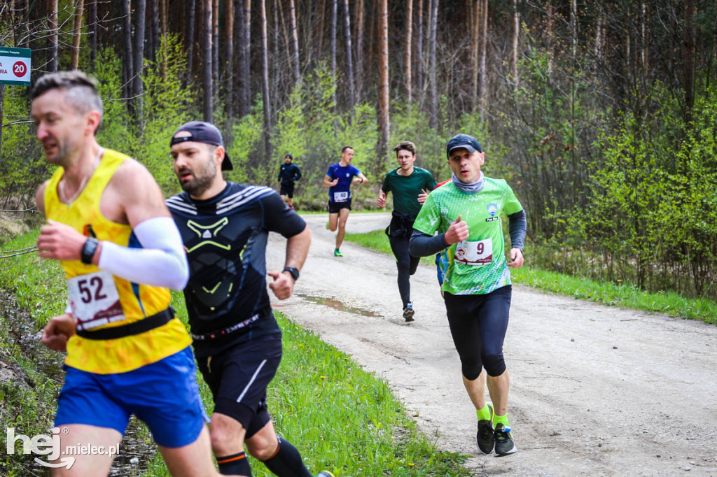 2. Bieg Konstytucji 3 Maja w Rydzowie