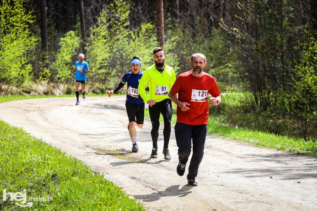 2. Bieg Konstytucji 3 Maja w Rydzowie