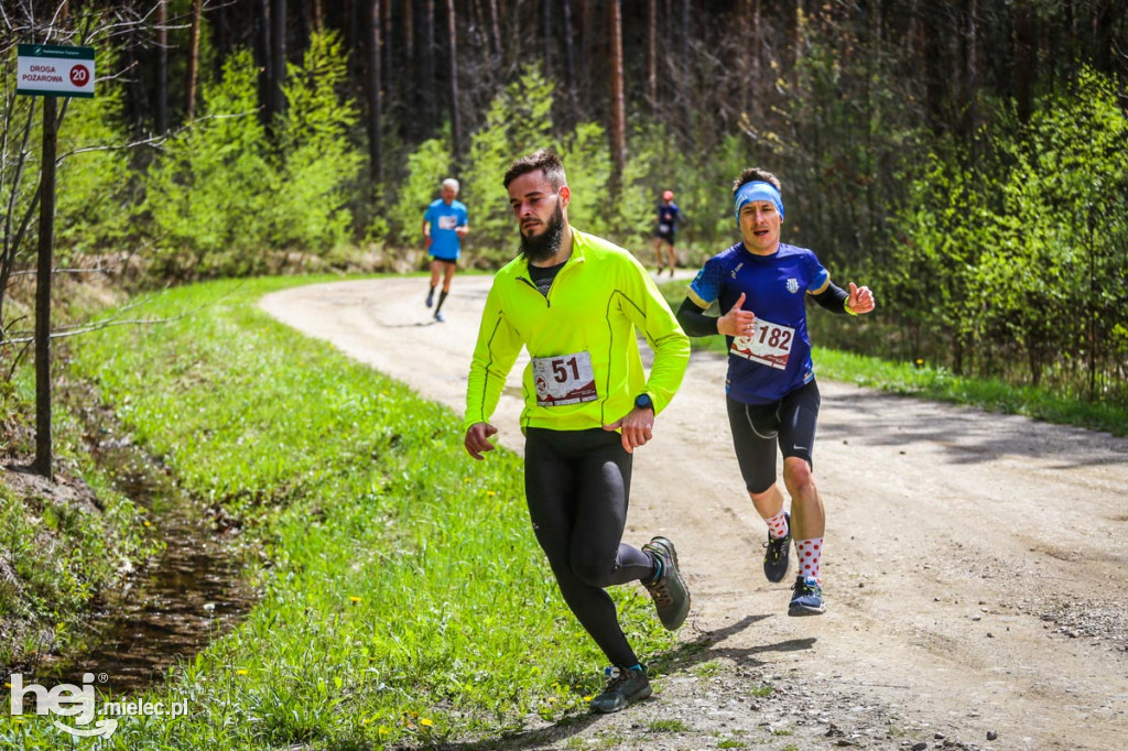 2. Bieg Konstytucji 3 Maja w Rydzowie