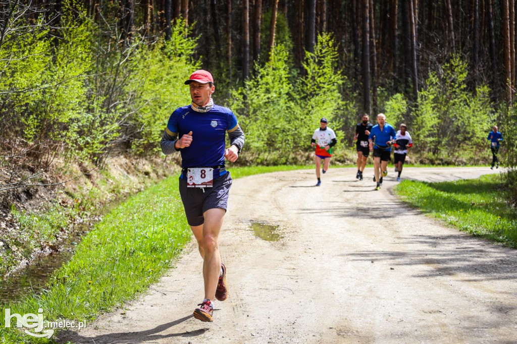 2. Bieg Konstytucji 3 Maja w Rydzowie