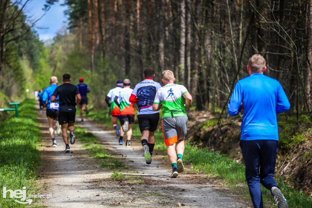 2. Bieg Konstytucji 3 Maja w Rydzowie