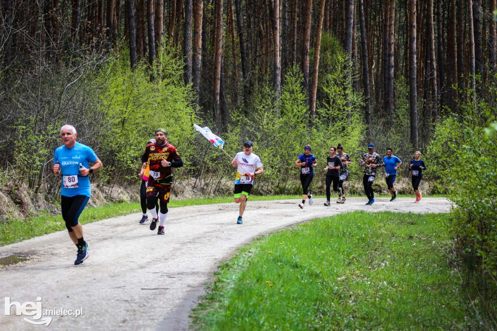 2. Bieg Konstytucji 3 Maja w Rydzowie