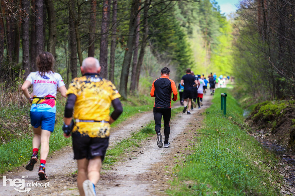 2. Bieg Konstytucji 3 Maja w Rydzowie