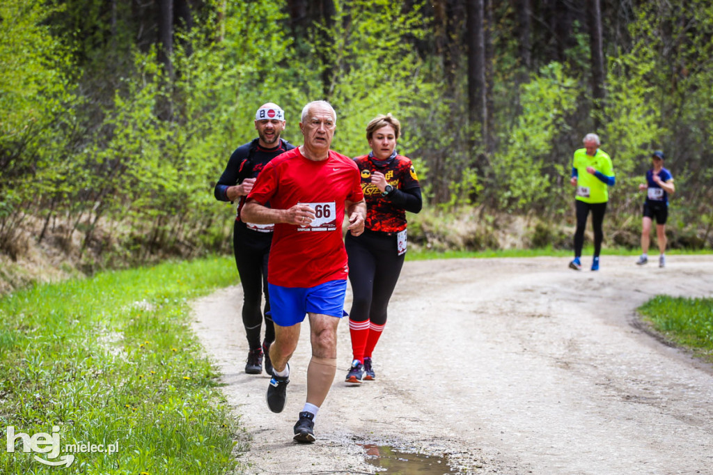 2. Bieg Konstytucji 3 Maja w Rydzowie