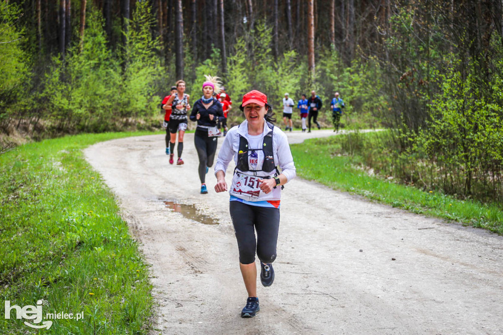 2. Bieg Konstytucji 3 Maja w Rydzowie