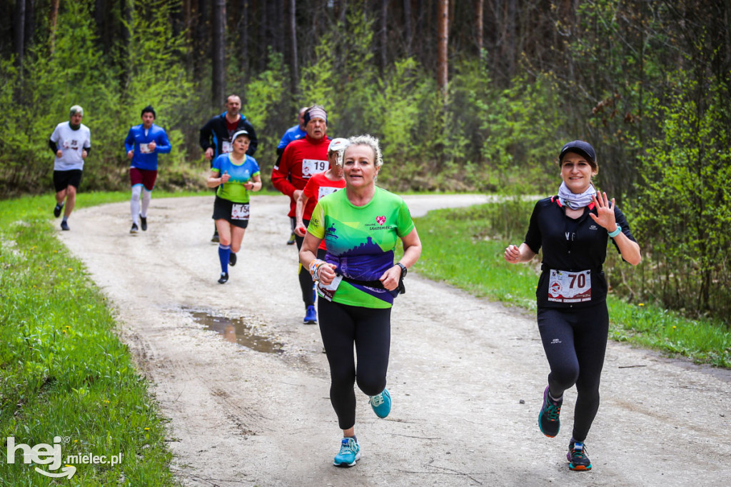 2. Bieg Konstytucji 3 Maja w Rydzowie