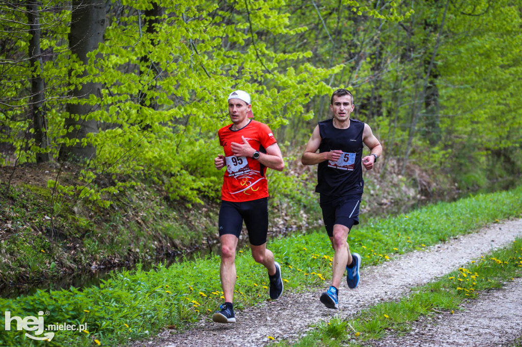 2. Bieg Konstytucji 3 Maja w Rydzowie