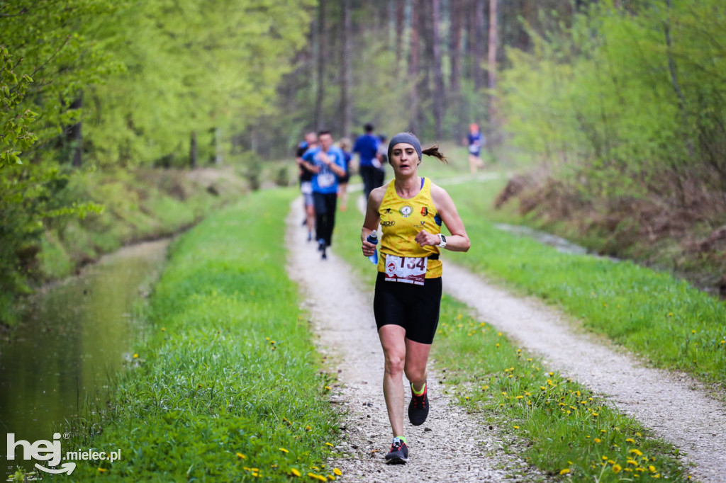 2. Bieg Konstytucji 3 Maja w Rydzowie