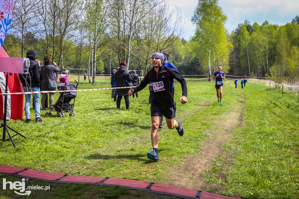 2. Bieg Konstytucji 3 Maja w Rydzowie