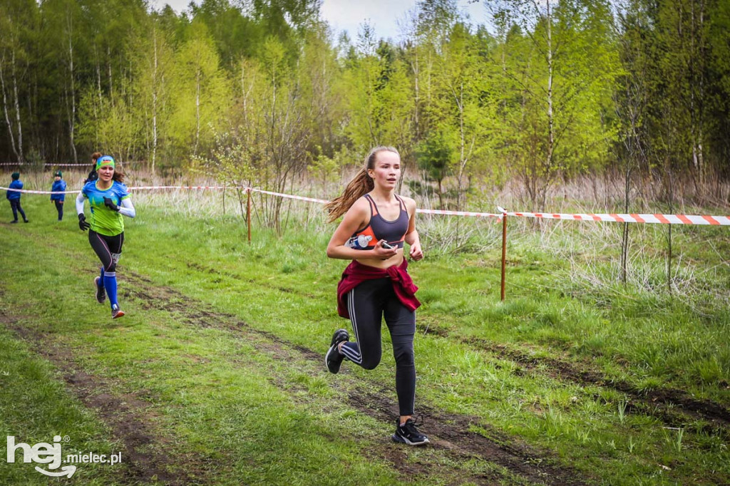 2. Bieg Konstytucji 3 Maja w Rydzowie