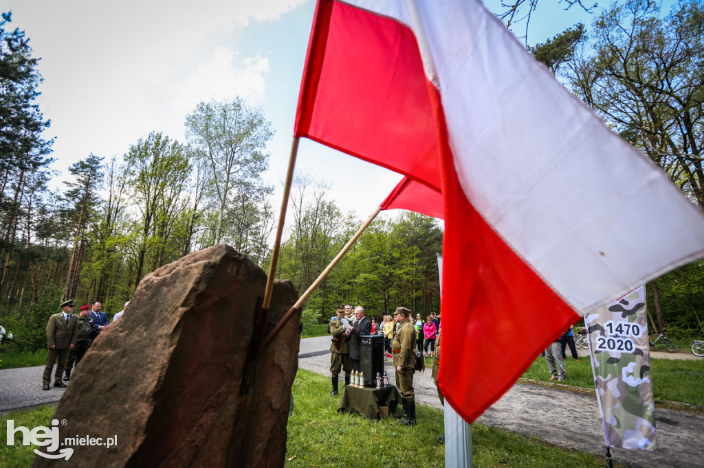 Wiosna Niezłomnych. Posadzili trzy kolejne Dęby Pamięci