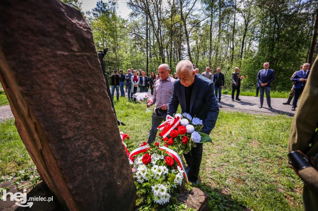 Wiosna Niezłomnych. Posadzili trzy kolejne Dęby Pamięci