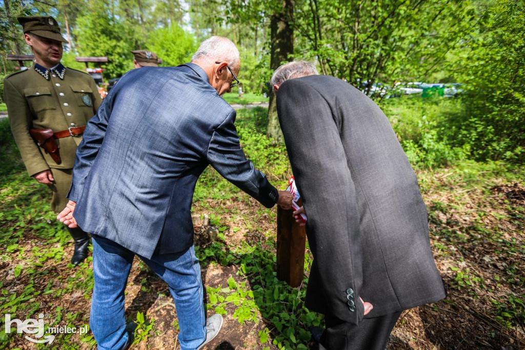 Wiosna Niezłomnych. Posadzili trzy kolejne Dęby Pamięci