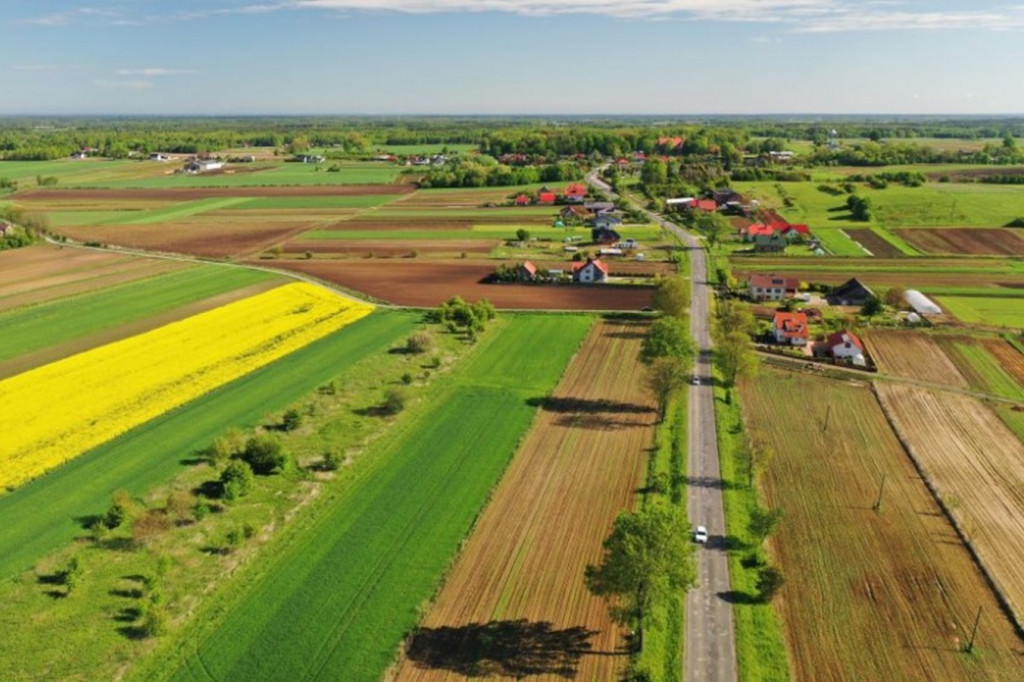 Droga powiatowa Zdziarzec - Dębica w Zasowie [DRON]