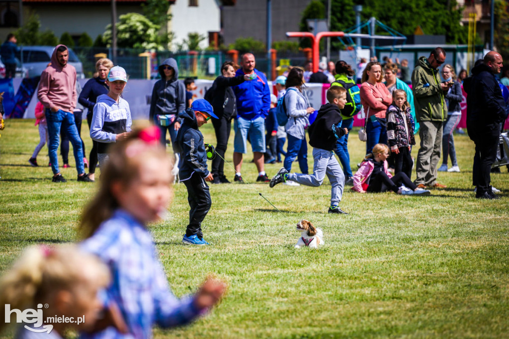 6. Ekstremalny Plac Zabaw dla Dzieci