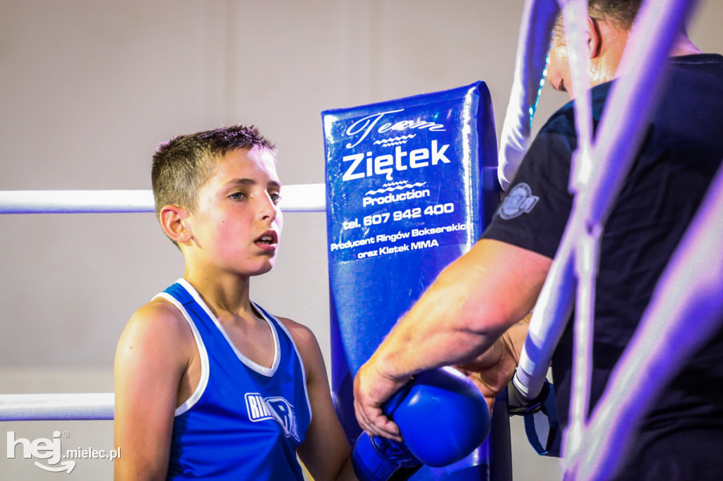 Puchar Karpat w boksie olimpijskim w Mielcu