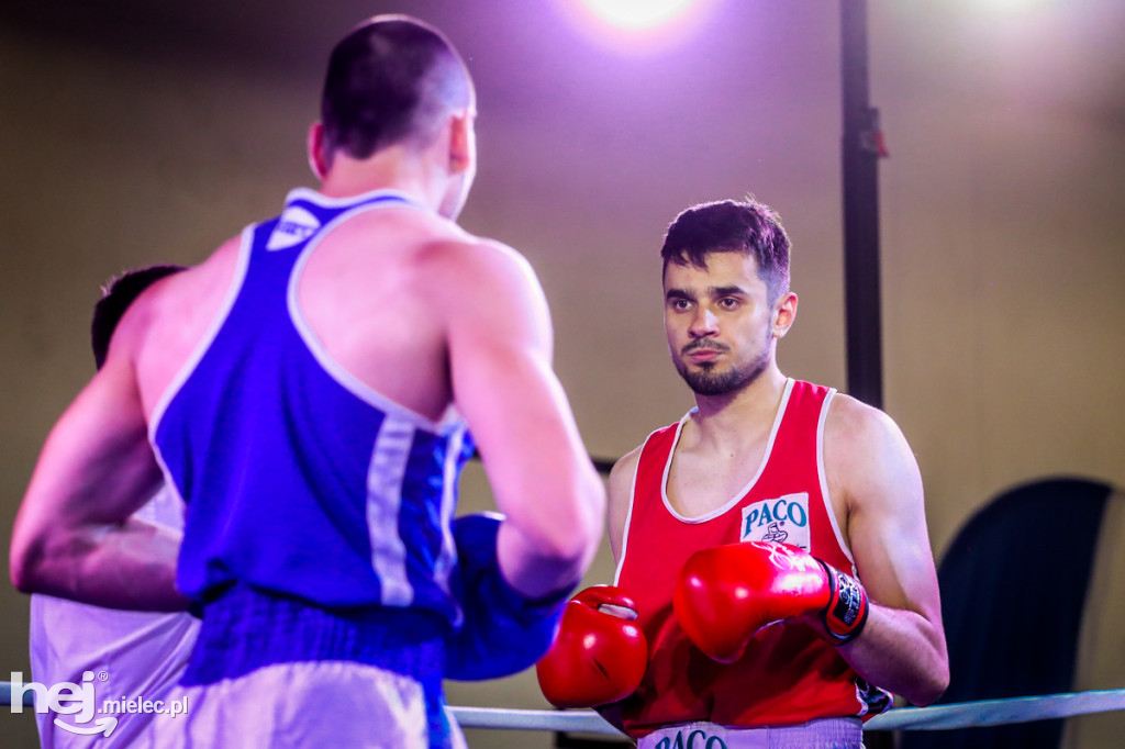 Puchar Karpat w boksie olimpijskim w Mielcu