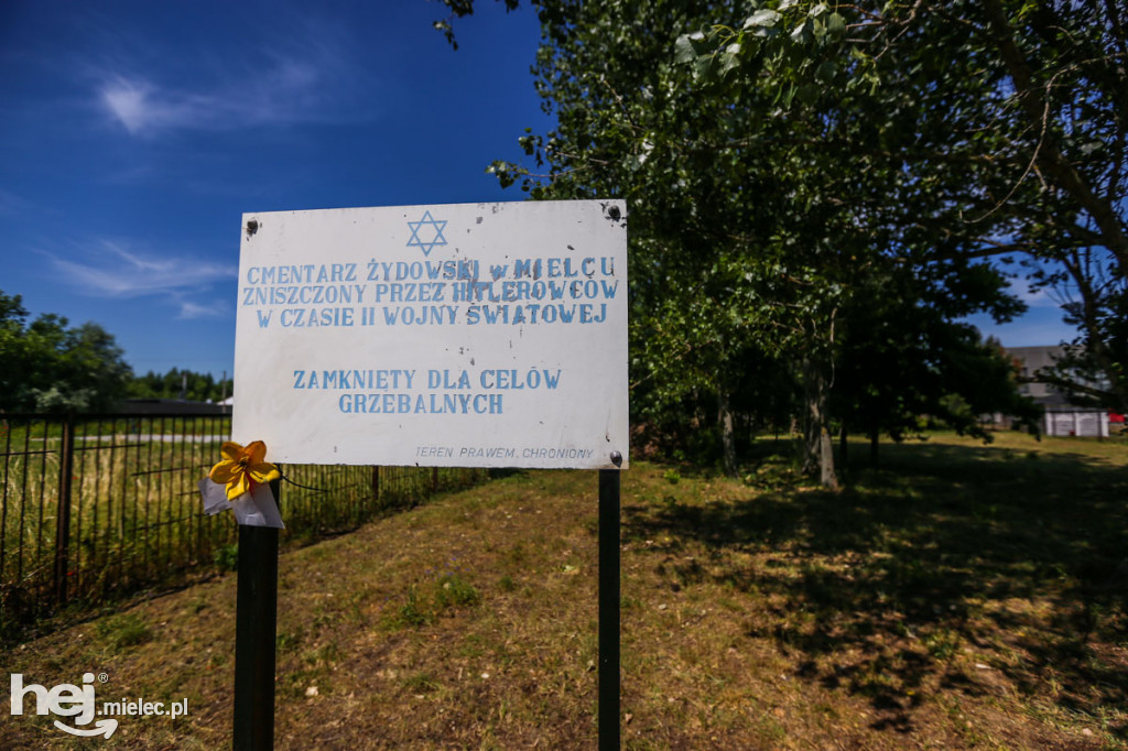 Otwarta brama cmentarza żydowskiego przy ul. Traugutta