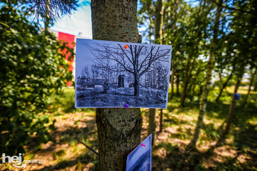 Otwarta brama cmentarza żydowskiego przy ul. Traugutta