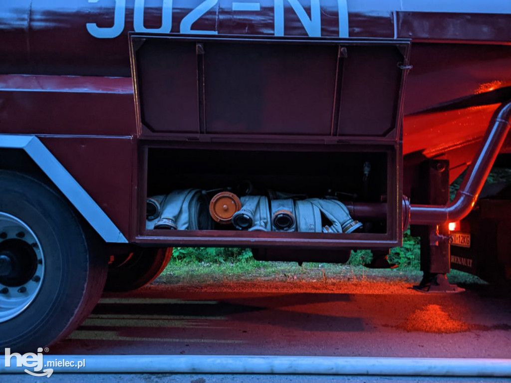 Pożar lasu pod miastem