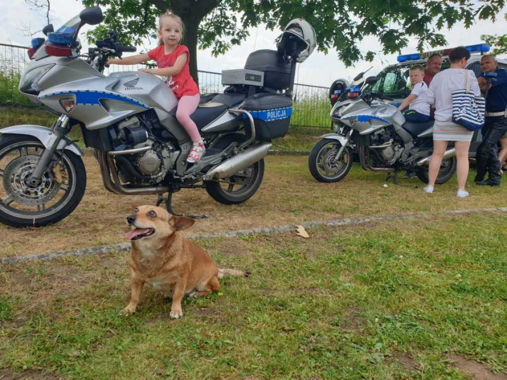 Seria działań profilaktycznych policji