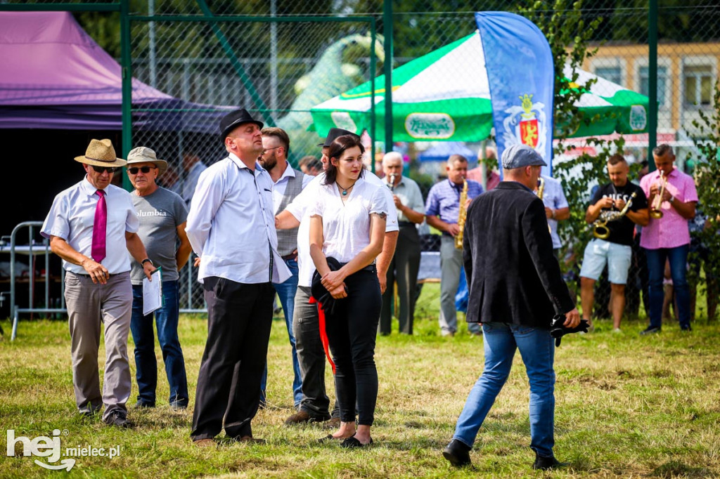 XII Parada Konna w Żarówce