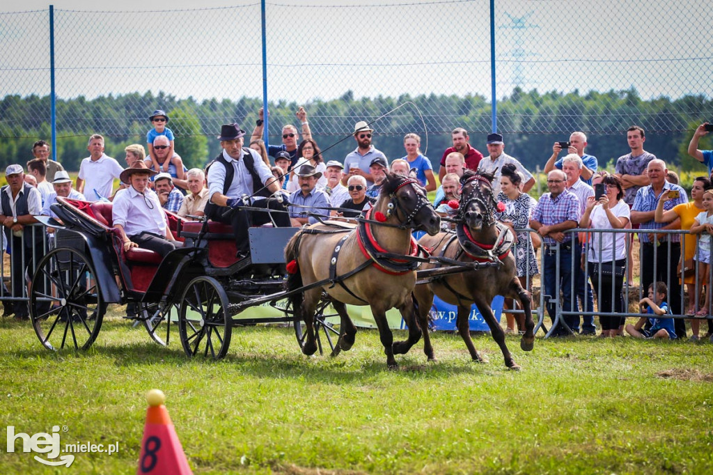 XII Parada Konna w Żarówce