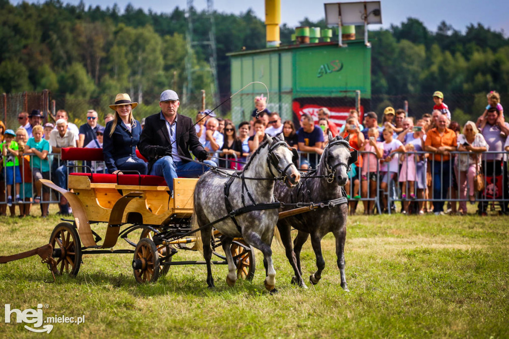 XII Parada Konna w Żarówce