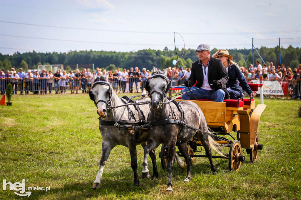 XII Parada Konna w Żarówce