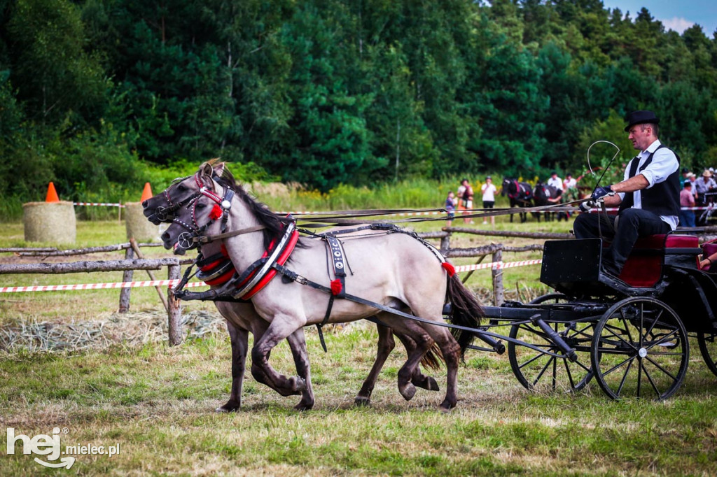 XII Parada Konna w Żarówce