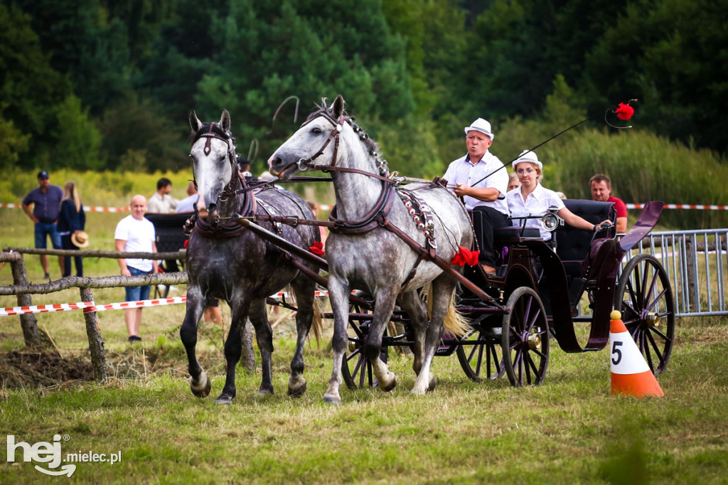 XII Parada Konna w Żarówce