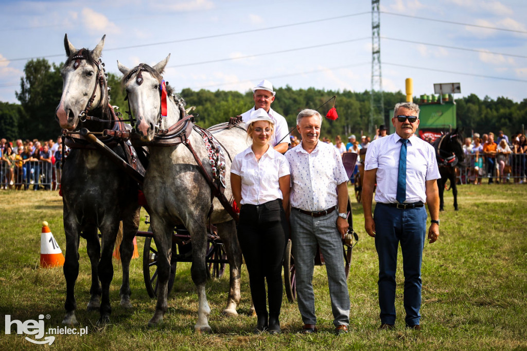 XII Parada Konna w Żarówce