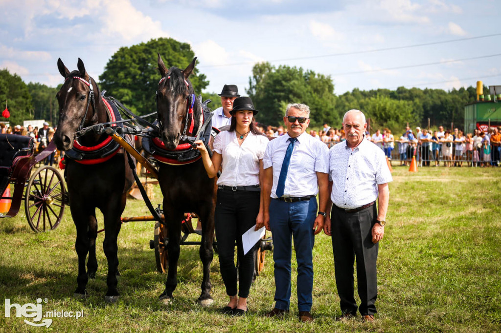 XII Parada Konna w Żarówce