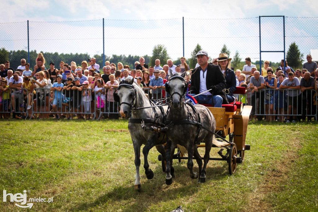 XII Parada Konna w Żarówce