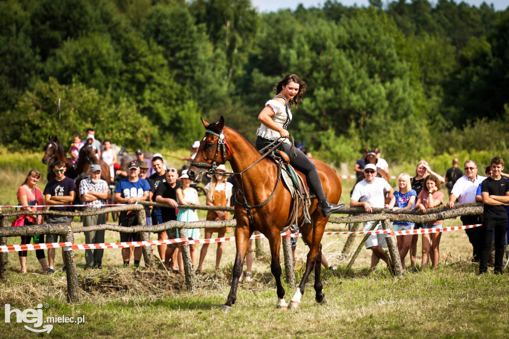 XII Parada Konna w Żarówce