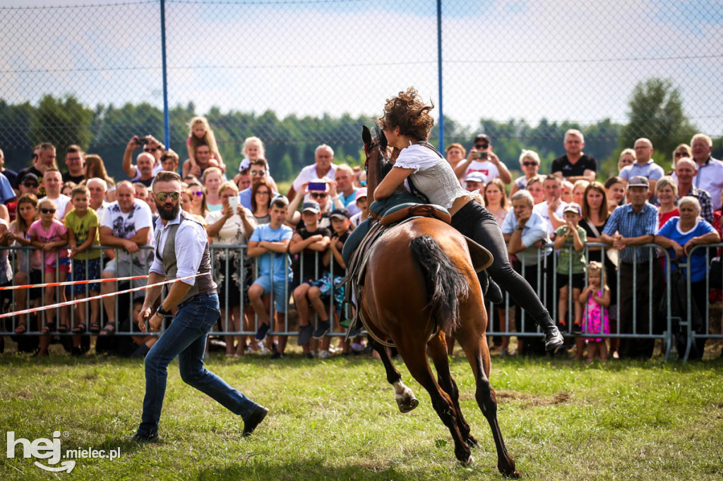 XII Parada Konna w Żarówce