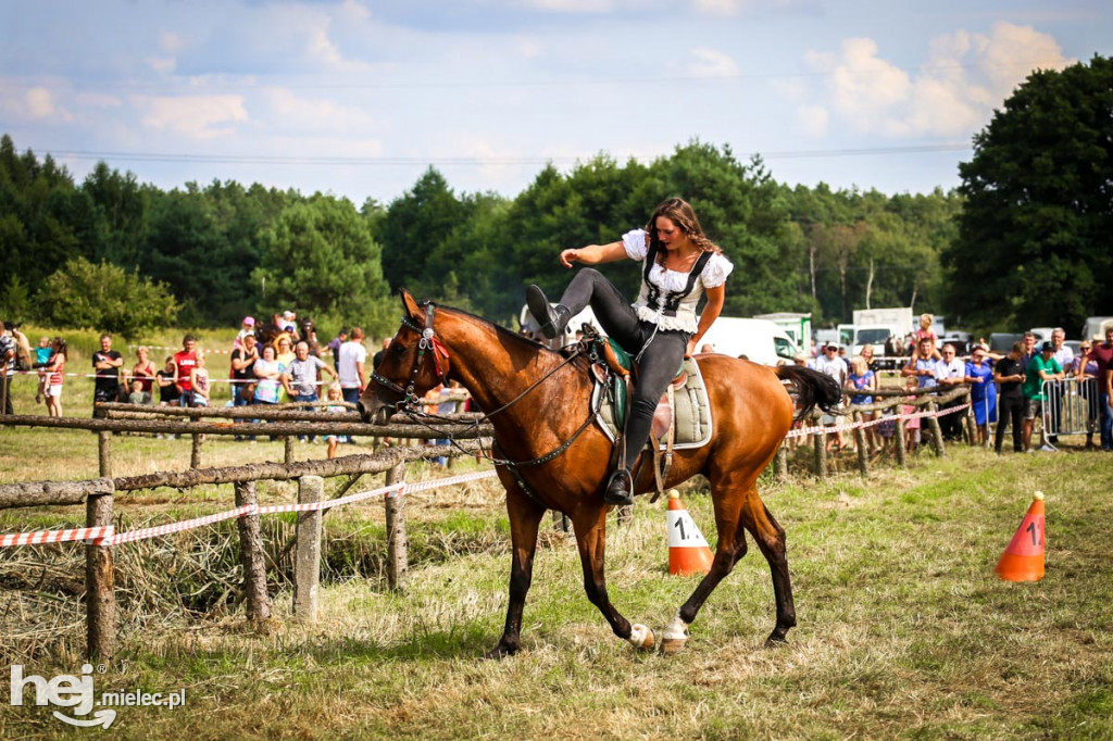 XII Parada Konna w Żarówce